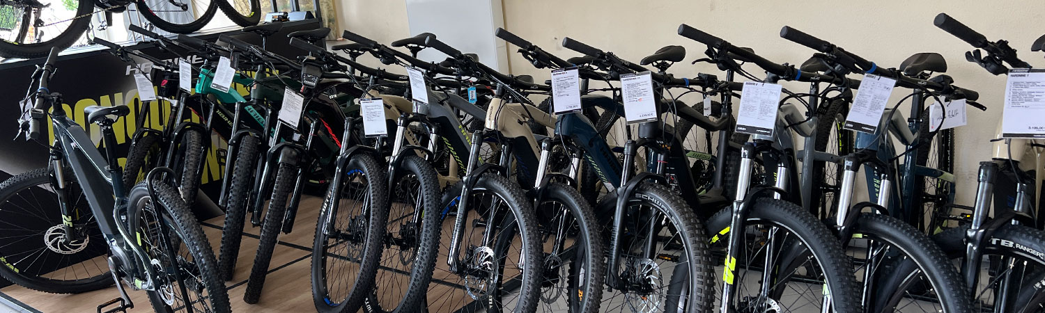 eBike Auswahl in Balhorn