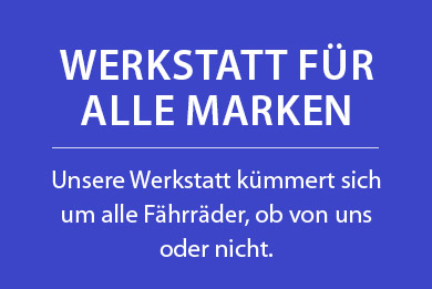 WERKSTATT SERVICE